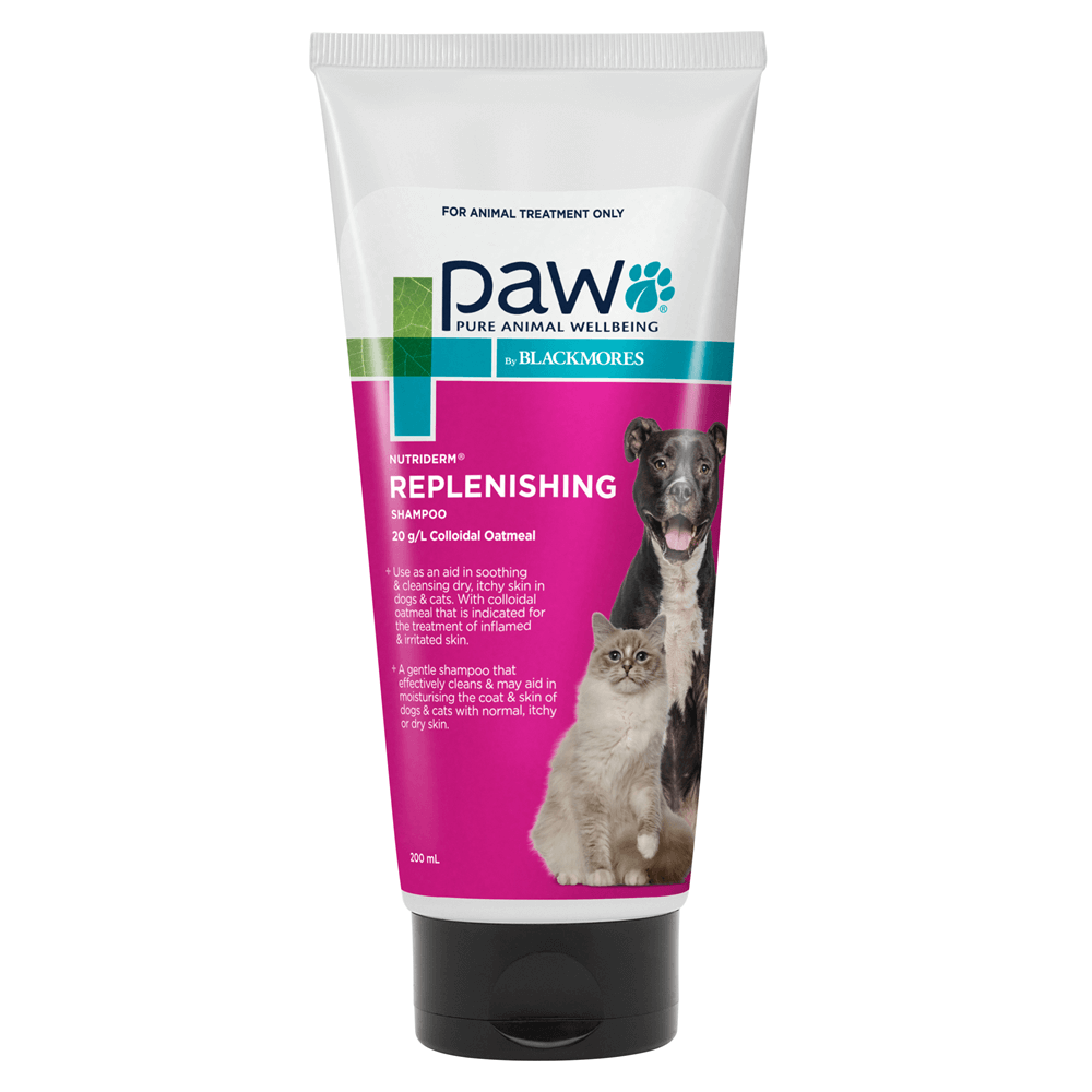 Blackmores: Paw – NutriDerm Replenishing Pet Shampoo 200ml